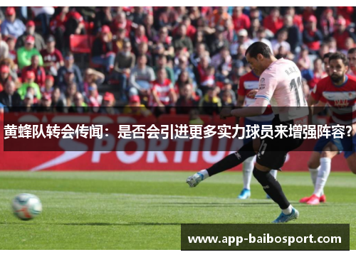 黄蜂队转会传闻：是否会引进更多实力球员来增强阵容？